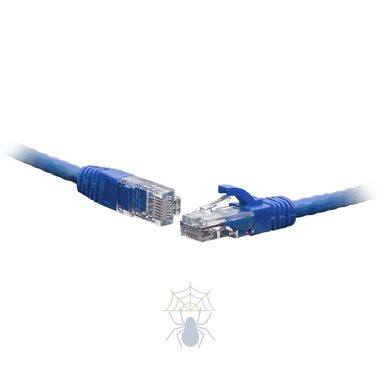 Коммутационный шнур U/UTP 4-х парный cat.5e 0.3м LSZH standart синий фото
