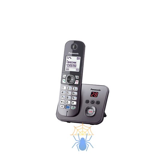 Радиотелефон Dect Panasonic KX-TG6821RUM серый металлик фото
