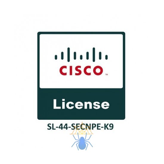 Лицензия Cisco SL-44-SECNPE-K9 фото