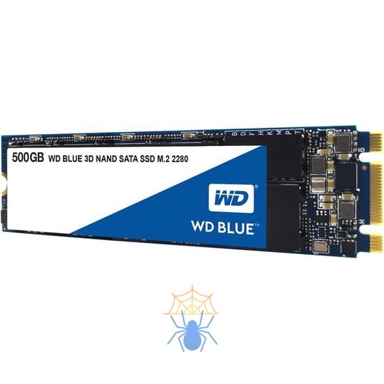 SSD накопитель Western Digital WDS500G2B0B фото