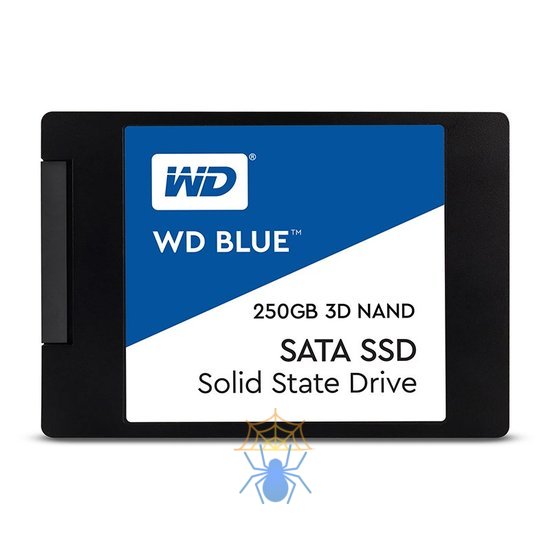SSD накопитель Western Digital WDS250G2B0A фото