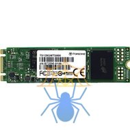 Твердотельный жесткий диск Transcend SSD SATA M2 128 Гб TS128GMTS800S фото