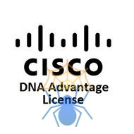 Подписка Cisco C9300-DNA-A-48-3Y фото