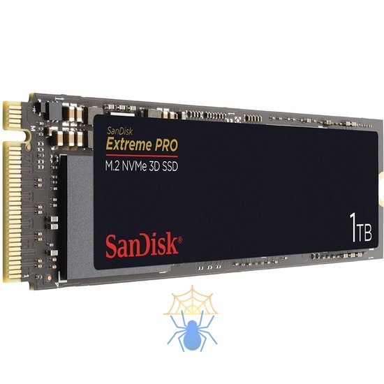 SSD накопитель SanDisk SDSSDXPM2-1T00-G25 фото