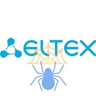 Лицензия Eltex MES-BGP