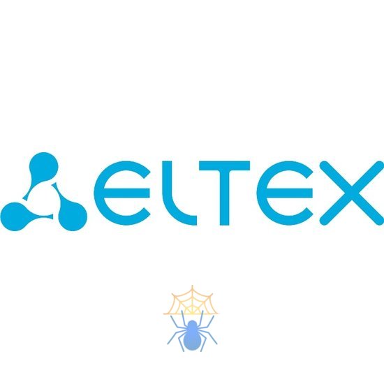 Лицензия Eltex MES-BGP