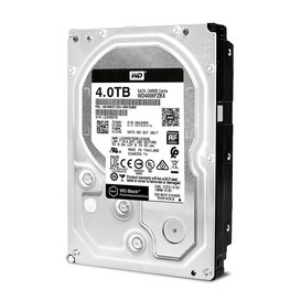 Жесткий диск Western Digital WD4005FZBX