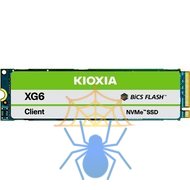 SSD Kioxia XG6 KXG60ZNV512GBPYLGA фото