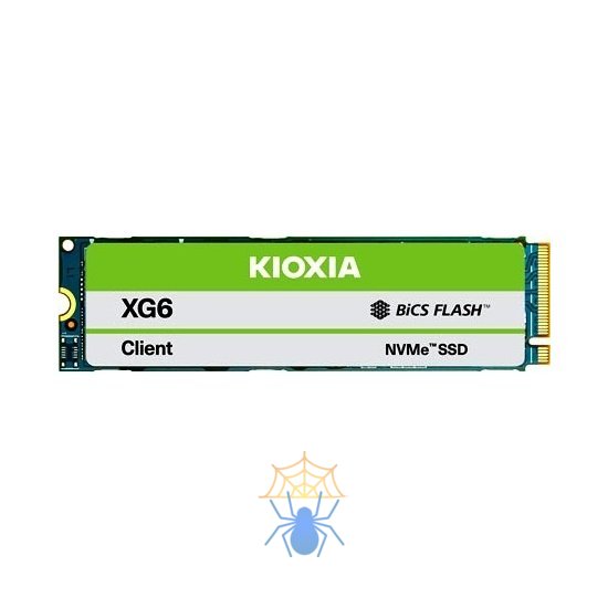 SSD Kioxia XG6 KXG60ZNV512GBPYLGA фото