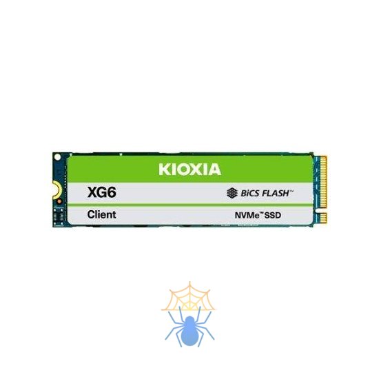 SSD Kioxia XG6 KXG60ZNV512GCJYLGA фото