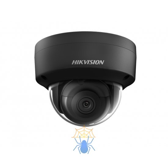 IP-камера Hikvision DS-2CD2143G0-IS Black фото