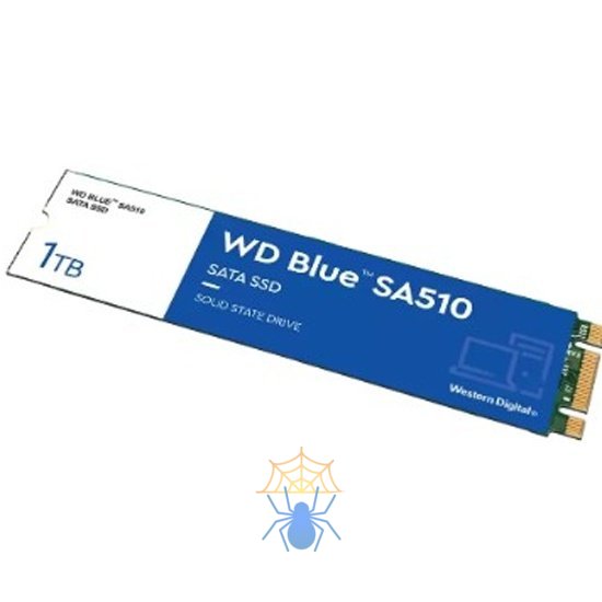 SSD накопитель Western Digital WDS100T3B0B фото
