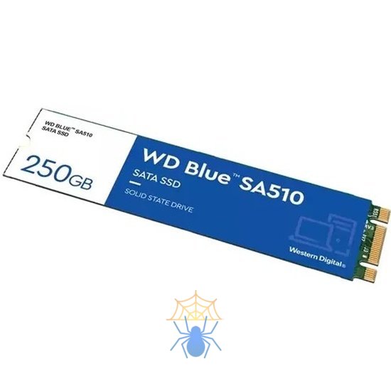 SSD накопитель Western Digital WDS250G3B0B фото