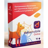 Программное обеспечение DataMobile, версия Online - подписка на 6 месяц фото