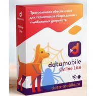 Программное обеспечение DataMobile, версия Online Lite - LifeTime фото