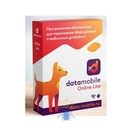 Программное обеспечение DataMobile, версия Online Lite - подписка на 6 месяцев фото