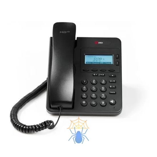 Телефон VoiceIP QTech QVP-95 фото 2
