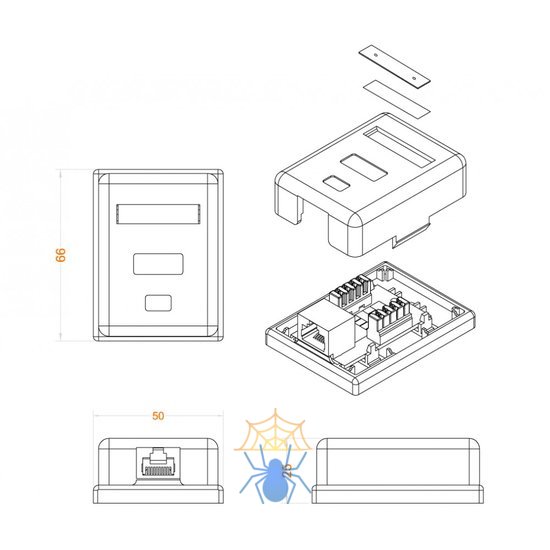 Hyperline SB1-1-8P8C-C6-WH Розетка компьютерная RJ-45(8P8C), категория 6, одинарная, внешняя, Dual IDC фото 2