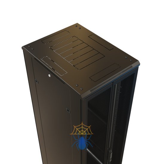 Шкаф серверный WRline (WR-TT-4261-DD-RAL9004) напольный 42U 600x1000мм пер.дв.перфор.2ств. задн.дв.перфор.2-хст. 2 бок.пан. 800кг черный фото 3