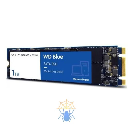 SSD WESTERN DIGITAL SN700 2Тб M.2 Наличие PCIE NVMe Скорость записи 2900 Мб/сек. Скорость чтения 3400 Мб/сек. WDS200T1R0C фото 2