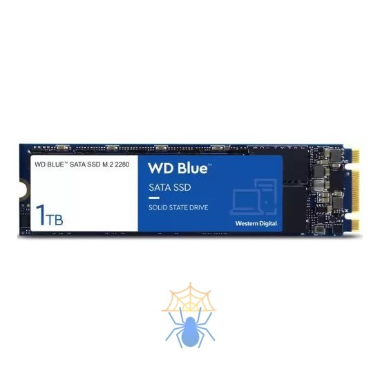 SSD WESTERN DIGITAL SN700 2Тб M.2 Наличие PCIE NVMe Скорость записи 2900 Мб/сек. Скорость чтения 3400 Мб/сек. WDS200T1R0C фото