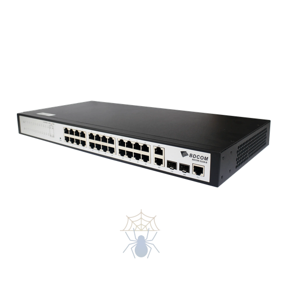 S2228-B Коммутатор 24 100M TX ports, 2 1000M TX ports, 2 100/1000M SFP ports, an AC220V power supply, fanless, 1U, 19-inch rack -mounted installation, 1 console port фото 3