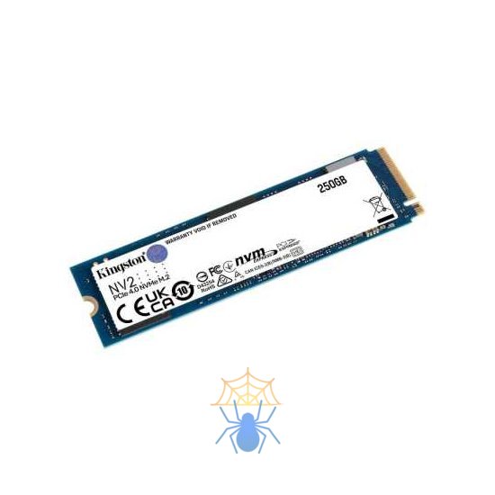 SSD жесткий диск M.2 250GB NV1 SNV2S/250G KINGSTON фото 2