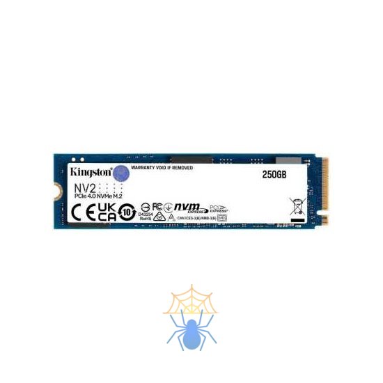 SSD жесткий диск M.2 250GB NV1 SNV2S/250G KINGSTON фото