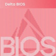 Микропрограммное обеспечение Delta Computers BIOS