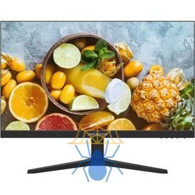 Монитор Hikvision 23.8" DS-D5024FN10 черный TFT LED 5ms 16:9 HDMI матовая 250cd 178гр/178гр 1920x1080 60Hz VGA FHD 2.634кг фото