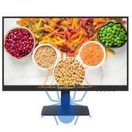 Монитор Hikvision 21.5" DS-D5022F2-1P1 черный TFT LED 14ms 16:9 HDMI матовая 250cd 178гр/178гр 1920x1080 60Hz VGA FHD 2.3кг фото