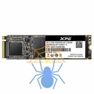 Adata xpg sx6000 store