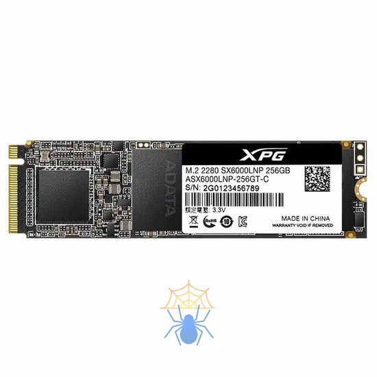 SSD жесткий диск M.2 2280 ASX6000LNP-256GT-C ADATA фото 2