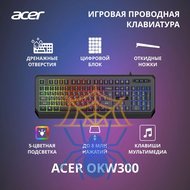 Клавиатура Acer OKW300 ZL.KBDCC.019 фото 2