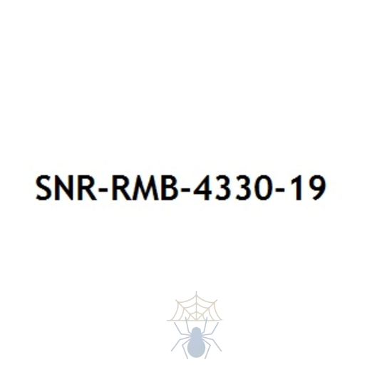 Крепление SNR-RMB-4330-19 для маршрутизаторов Cisco ISR4331 в стойку 19" фото