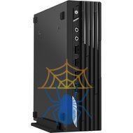 Неттоп MSI Pro DP21 13M-624XRU 9S6-B0A421-624 фото