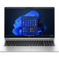 Ноутбук HP ProBook 450 G10 725Q0EA