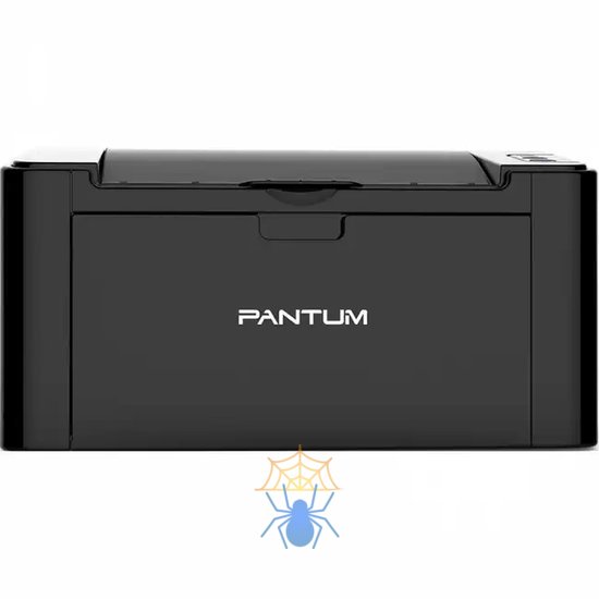 Принтер лазерный Pantum P2500W A4 WiFi черный фото