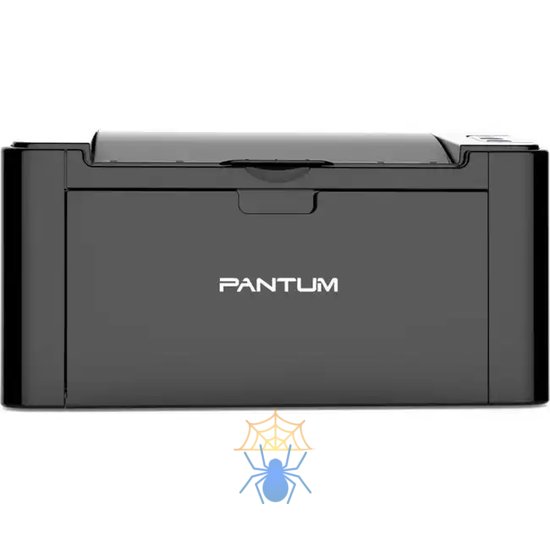 Принтер лазерный Pantum P2500NW A4 Net WiFi черный фото