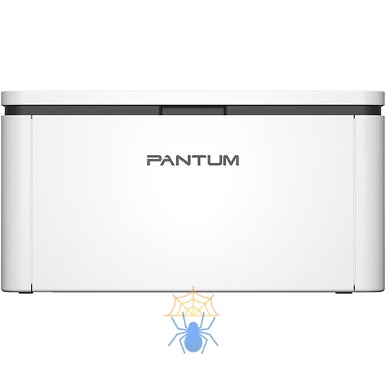 Принтер лазерный Pantum BP2300W A4 WiFi белый фото 2