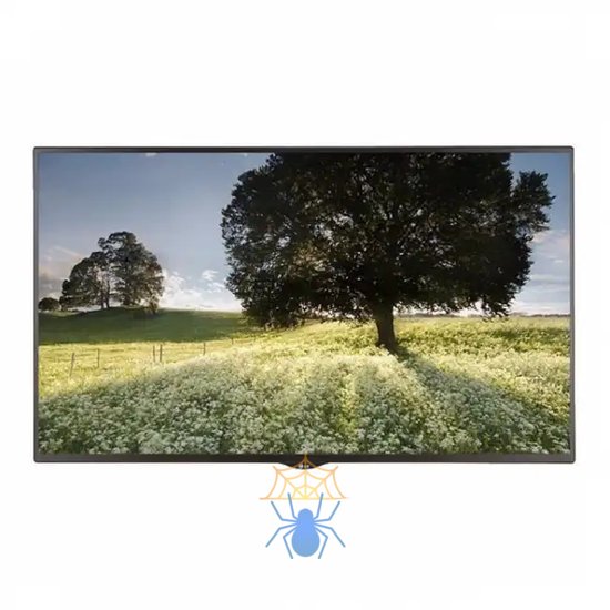 Информационная панель LG Main Stream SM5B 65" IPS 1920 x 1080, 450 cd/m2, 1,300:1 (4,000,000:1), Frame 11,9 (T/R/L), 18 (B), 24/7, VESA 300 x 300, Remote Controller,Power Cable,RGB Cable,Manual фото