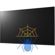 Панель LG 55" 55UL3J-M черный IPS LED 8ms 16:9 HDMI M/M матовая 400cd 178гр/178гр 3840x2160 UHD USB 14кг фото 3