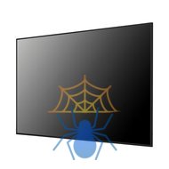 Панель LG 65" 65UH5N-E черный IPS LED 16:9 DVI HDMI M/M матовая 500cd 178гр/178гр 3840x2160 VGA DP UHD USB 28.2кг фото 4