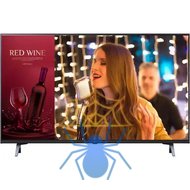 Коммерческий телевизор 43'' LG  43UR640S фото 2