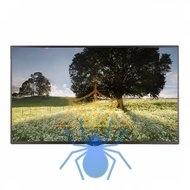 Информационная панель LG Main Stream SM5B 65" IPS 1920 x 1080, 450 cd/m2, 1,300:1 (4,000,000:1), Frame 11,9 (T/R/L), 18 (B), 24/7, VESA 300 x 300, Remote Controller,Power Cable,RGB Cable,Manual фото