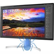 Монитор LG 31.5" 32UN650-W белый IPS LED 16:9 HDMI M/M матовая HAS 350cd 178гр/178гр 3840x2160 60Hz DP 4K 8.2кг фото 3