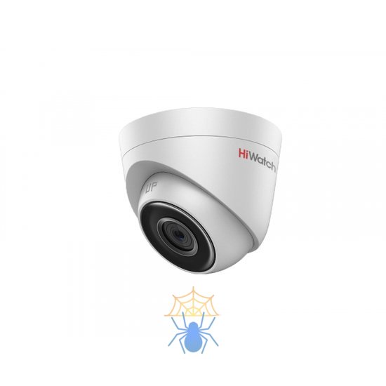 IP-камера HiWatch DS-I203 фото