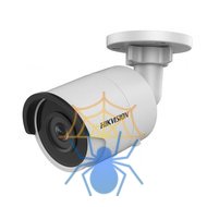 IP-камера Hikvision DS-2CD2043G0-I фото