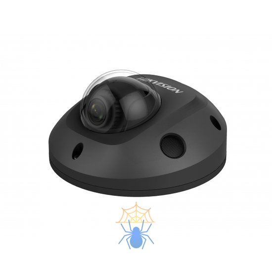 IP-камера Hikvision DS-2CD2563G0-IS Black фото