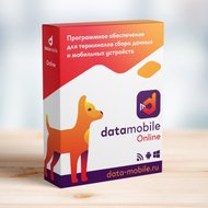 Программное обеспечение DataMobile, версия Online - подписка на 1 месяц